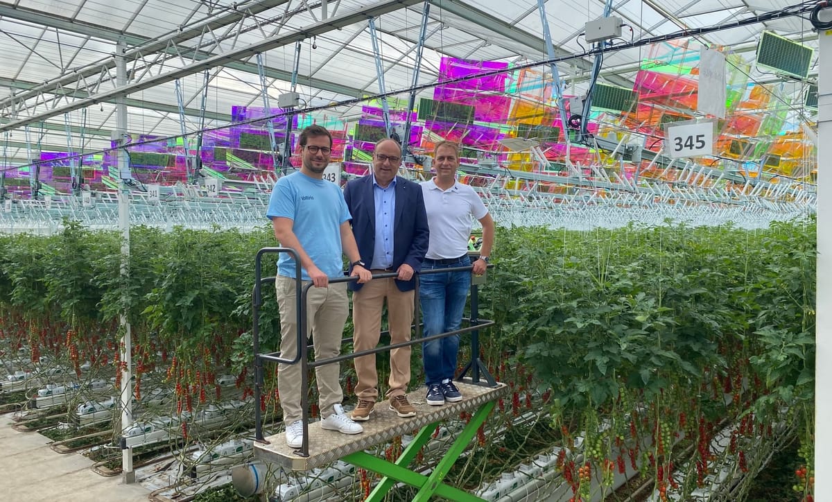 In Rütihof steht jetzt die weltweit grösste Gewächshaussolaranlage