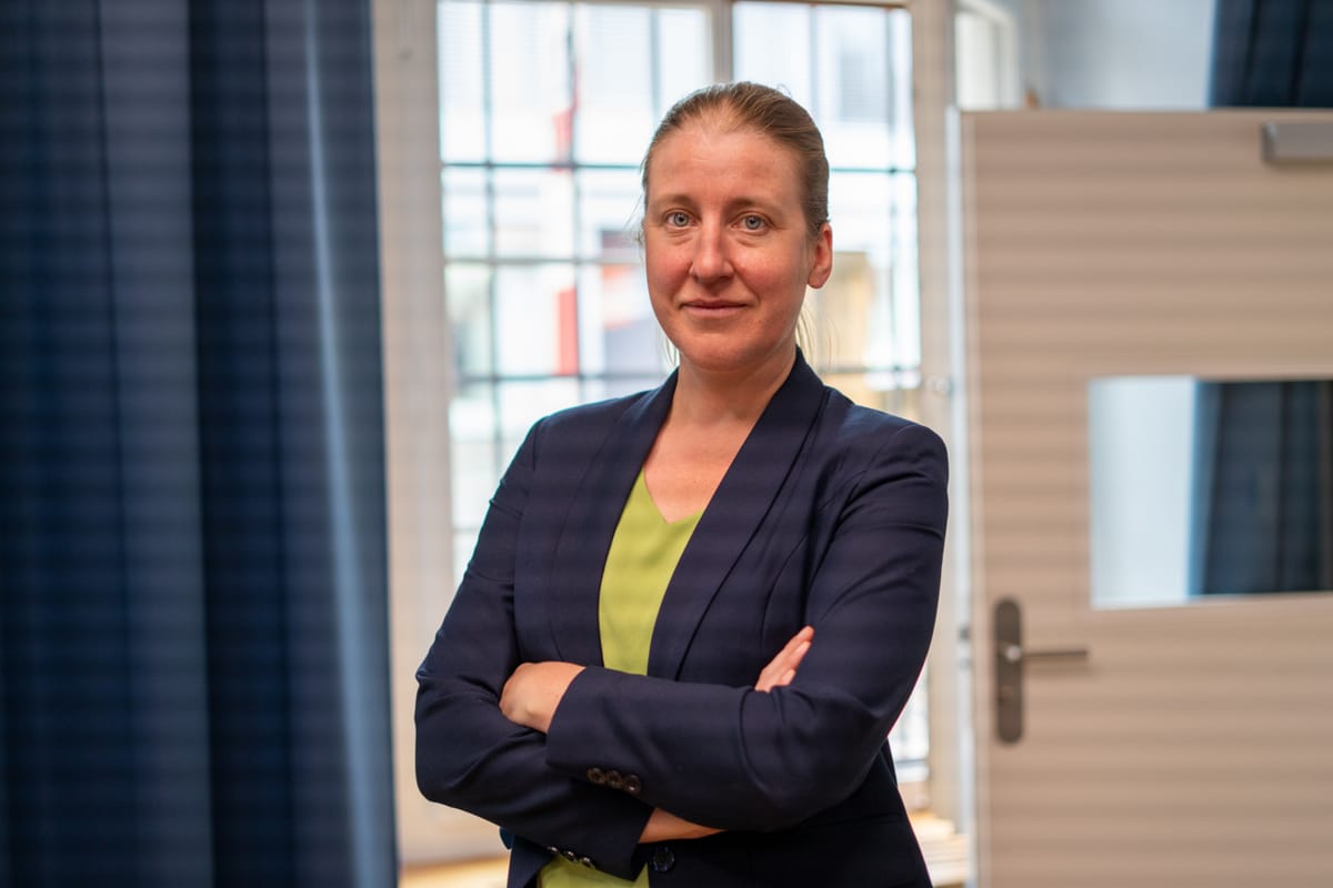 Steuern Reaktion 3: Grüne lehnen Senkung ab und fordern Investitionen in Bevölkerung und Umwelt