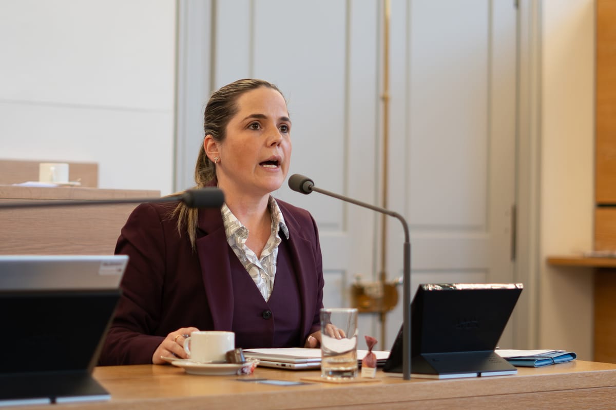 Bildungsdirektorin warnt vor Bildungsinitiative als "Wolf im Schafspelz" - Grosser Rat entscheidet