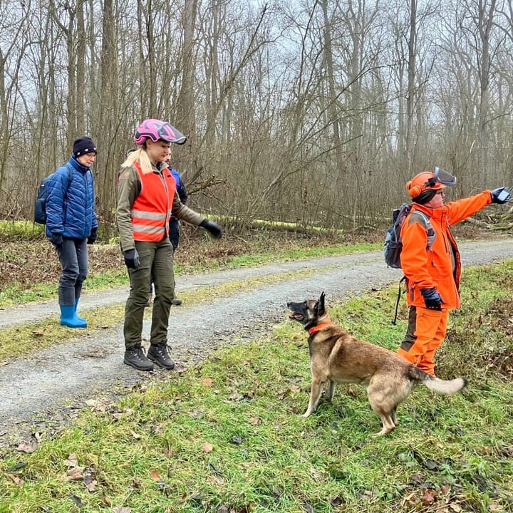 Aargauer Veterinärdienst besucht Ausbruchsgebiet der Afrikanischen Schweinepest im Bundesland Hessen