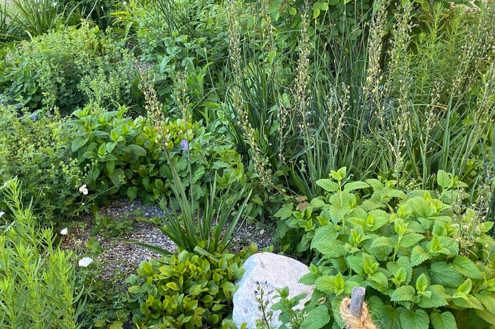 Einstimmig: Grossrats-Kommission will Biodiversitäts-Programm "Labiola" verlängern