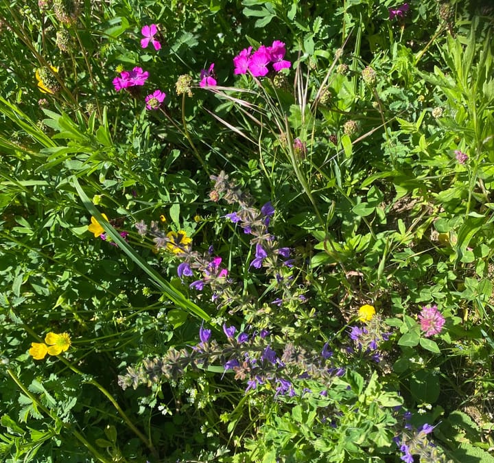 Programm "Natur 2030", 2. Etappe: Regierungsrat beantragt  18 Millionen Franken