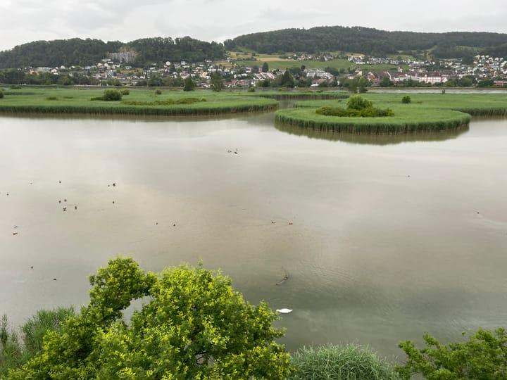 Klingnauer Stausee: Massnahmen gegen die Verlandung und zum langfristigen Erhalt des Gebiets