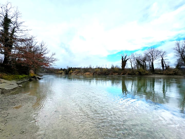 Auenrenaturierung „Grien“ am Flusslauf der Reuss wird realisiert