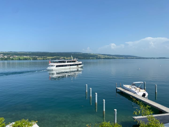 Kanton untersuchte PFAS-Belastung von wildlebenden Fischen - Hecht aus dem Hallwilersee darf derzeit nicht kommeziell vermarktet werden