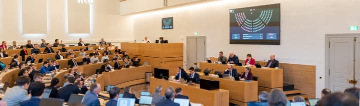 Grosser Rat - FDP verlangt nach Ja zur Individualbesteuerung zügig eine Vorlage der Regierung